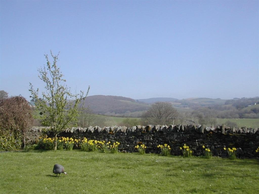 Alltybrain Farm Cottages And Farmhouse B&B Brecon Buitenkant foto