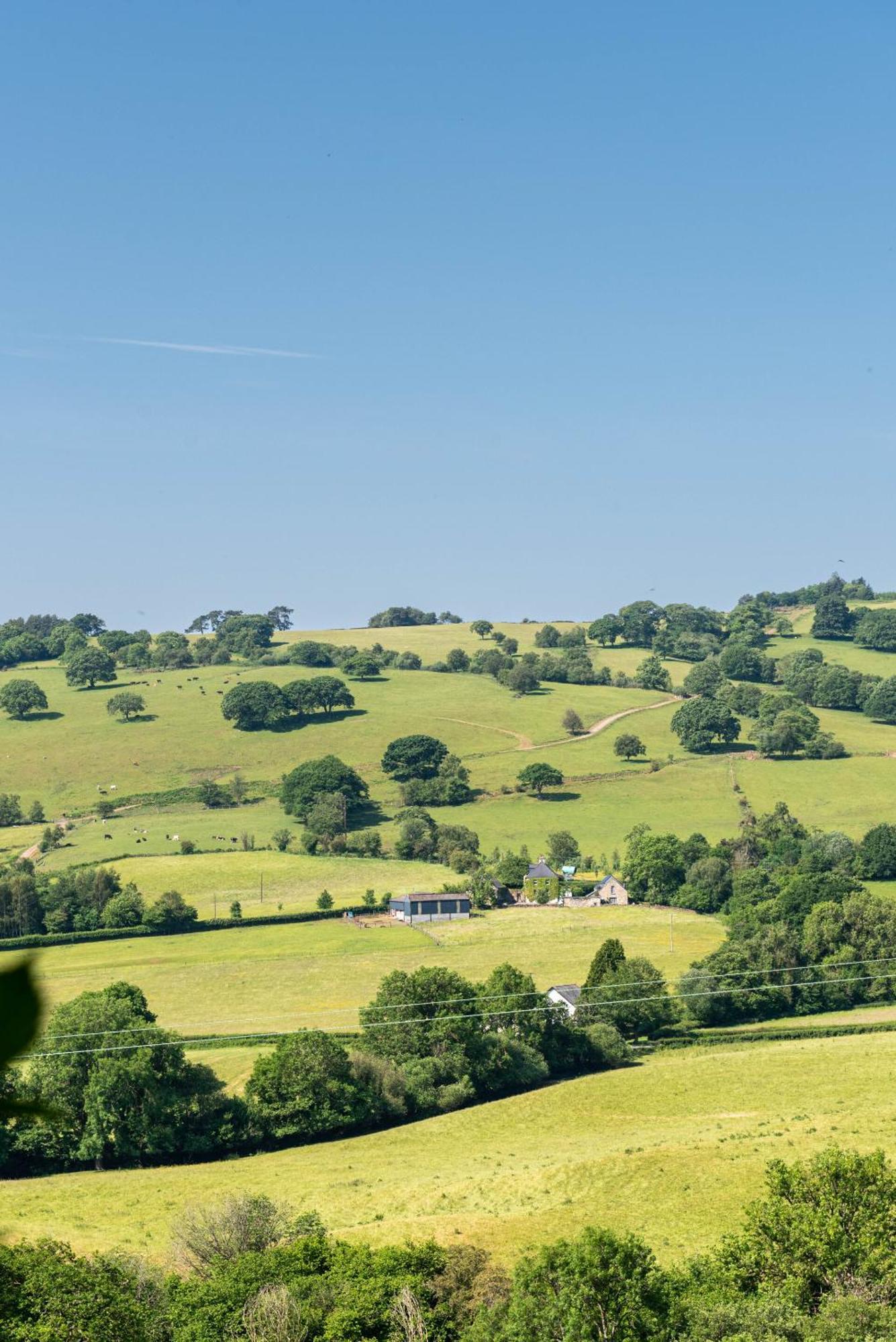 Alltybrain Farm Cottages And Farmhouse B&B Brecon Buitenkant foto