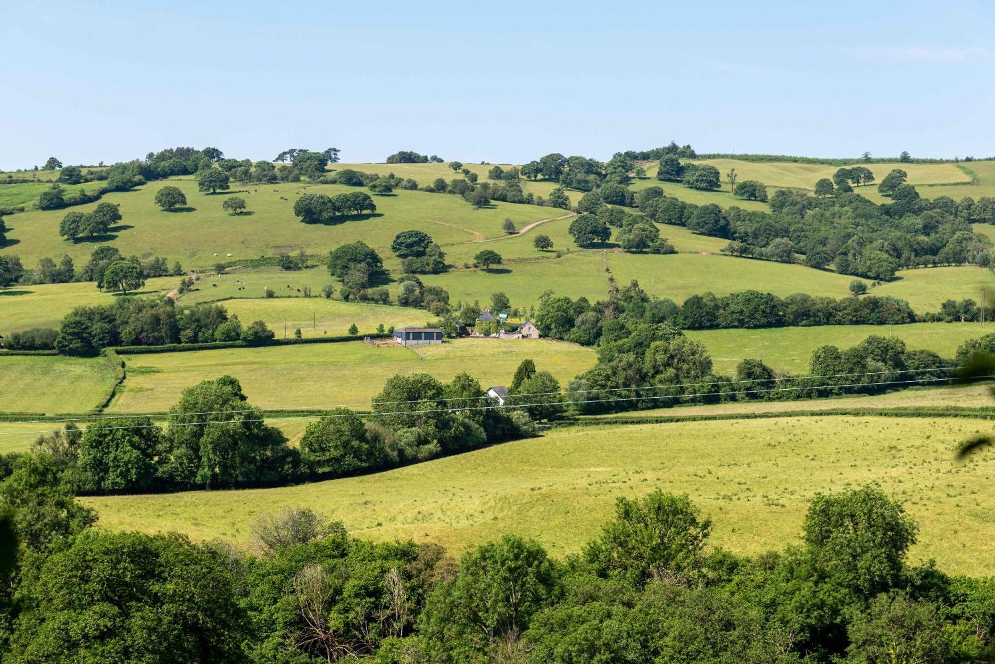 Alltybrain Farm Cottages And Farmhouse B&B Brecon Buitenkant foto