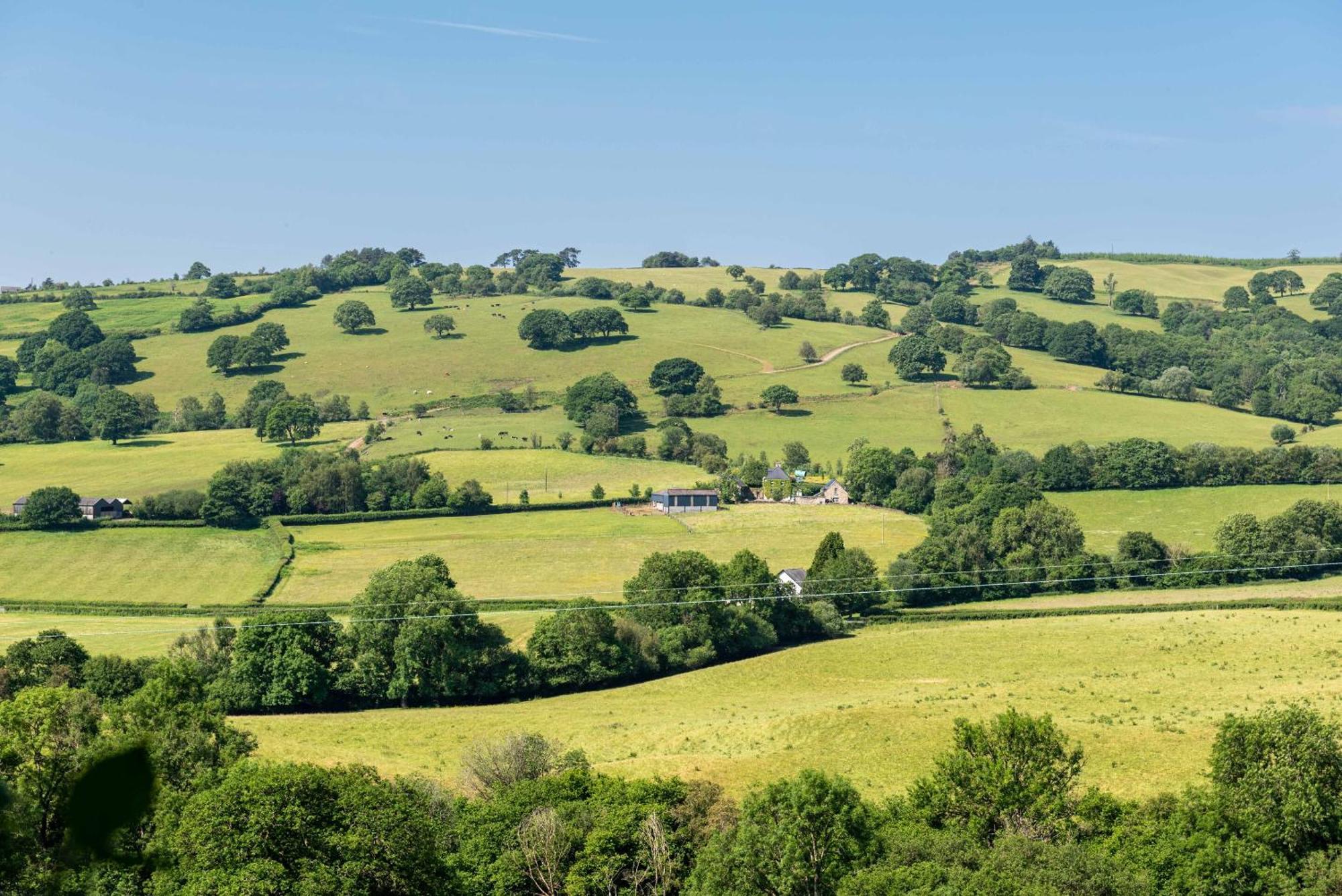Alltybrain Farm Cottages And Farmhouse B&B Brecon Buitenkant foto