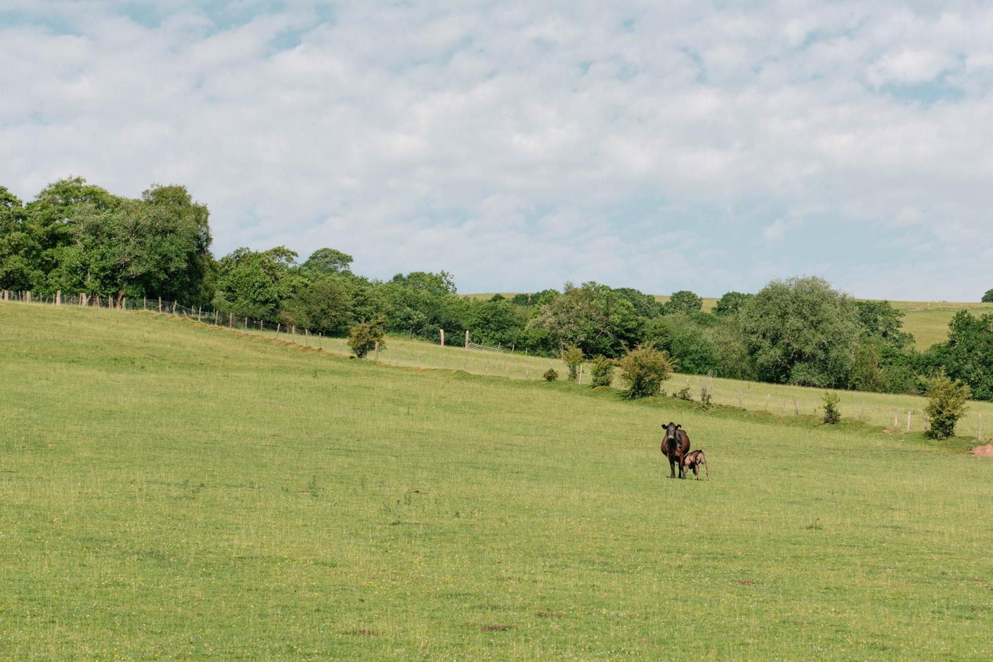Alltybrain Farm Cottages And Farmhouse B&B Brecon Buitenkant foto