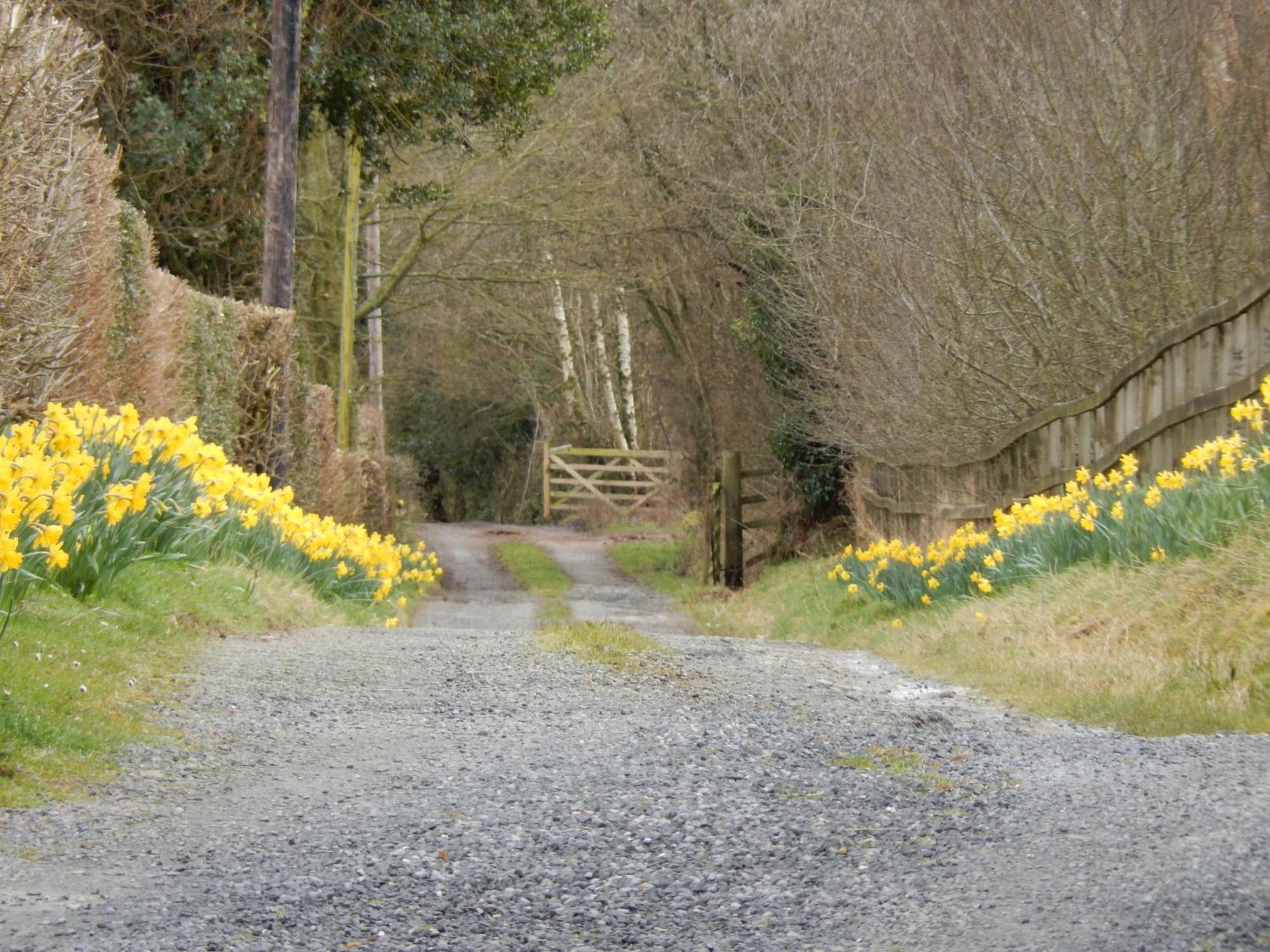 Alltybrain Farm Cottages And Farmhouse B&B Brecon Buitenkant foto